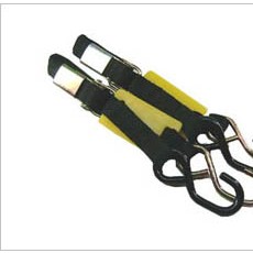 트랜섬 타이다운