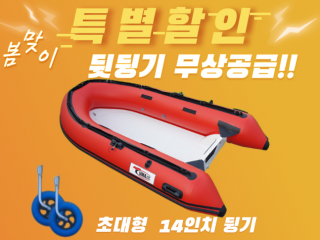 RIB-300S